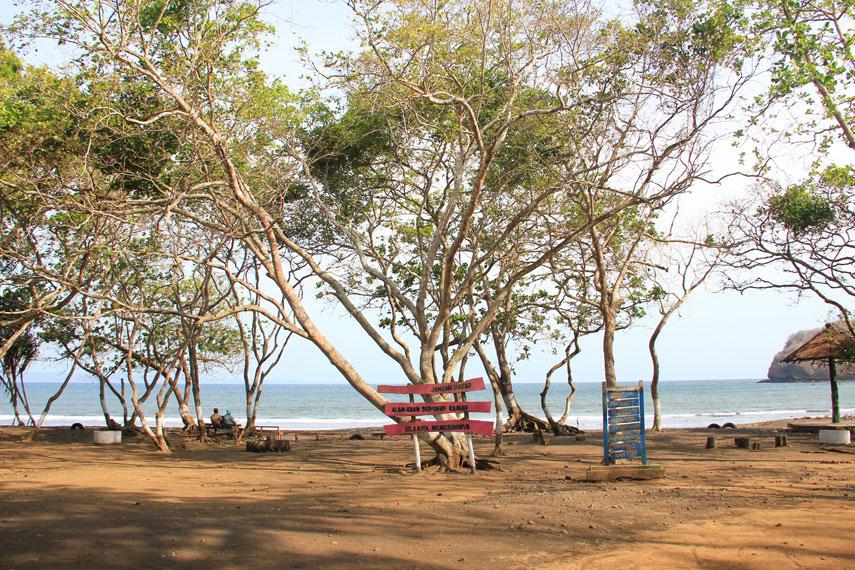 그라자간 해변, 동부 자바의 매혹적인 해안선