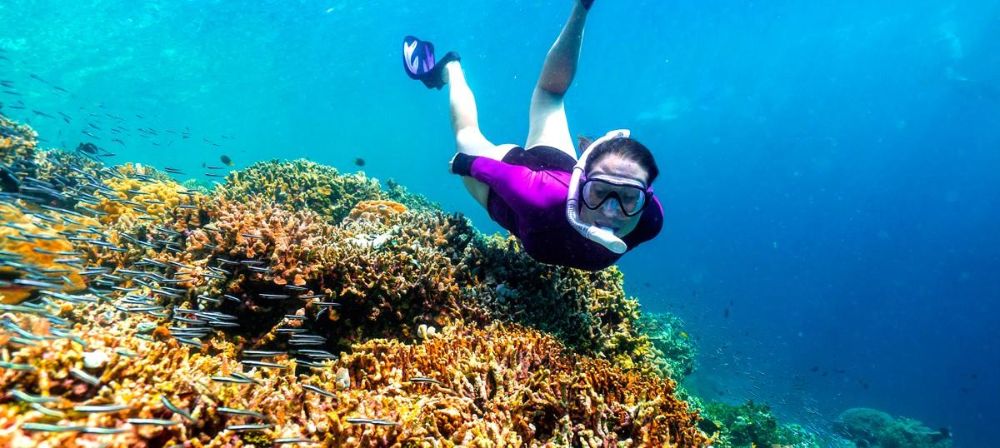 لماذا إندونيسيا هي واحدة من أفضل الأماكن في العالم للغوص