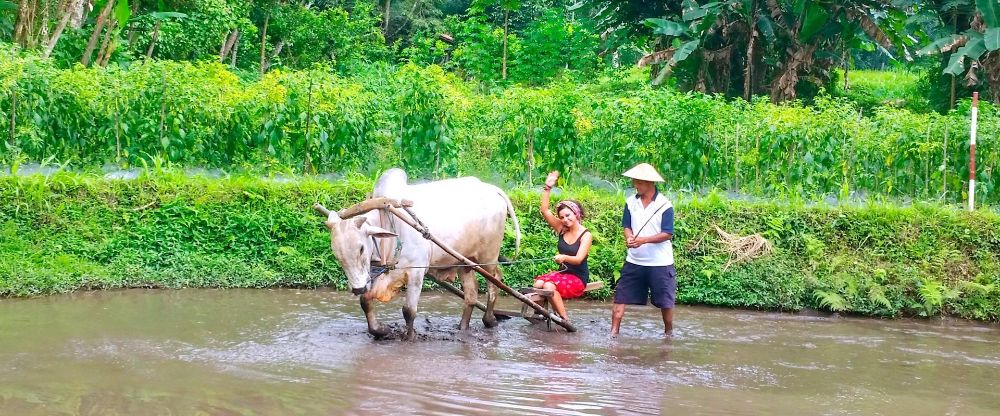 خمسة أشياء يمكنك أن تتعلمها أثناء زيارتك في يوجياكارتا