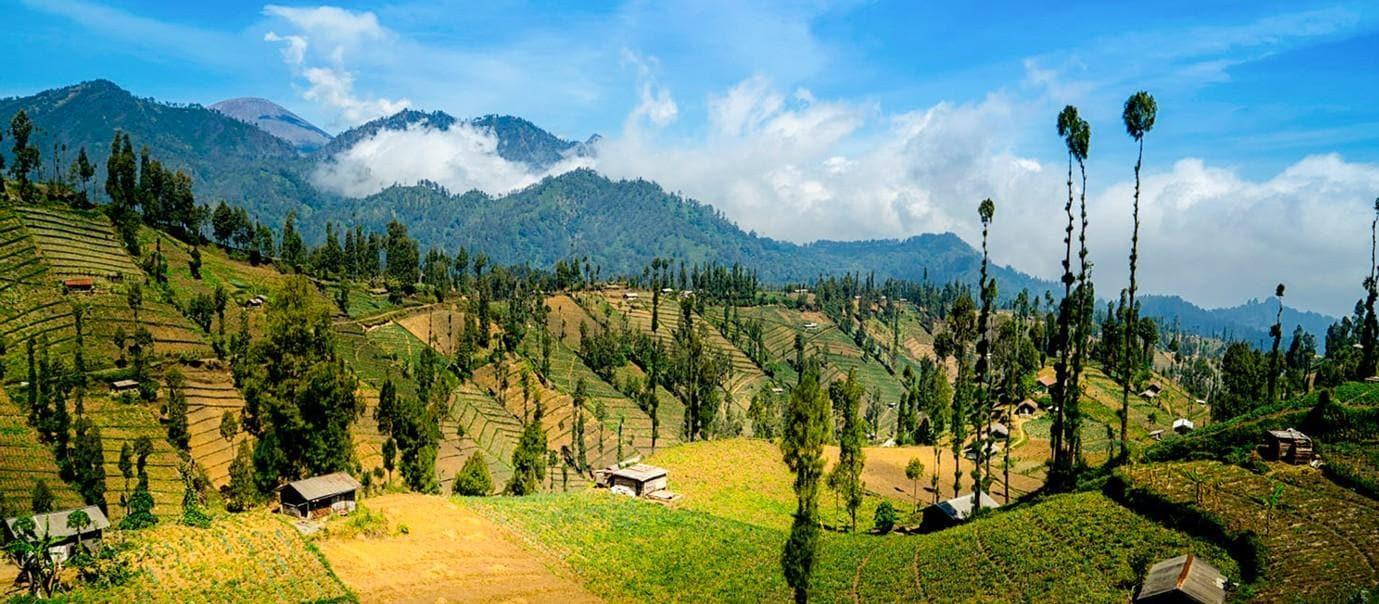 Ngadas un village serein au dessus des nuages au Mont Bromo Java Est
