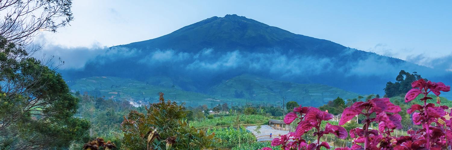 Magelang Regentschap