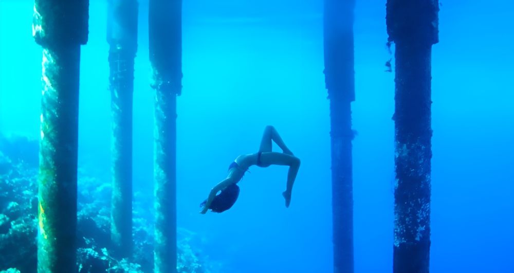 마술에 빠지다: 와카토비의 1,000마리의 물고기와 함께하는 다이빙