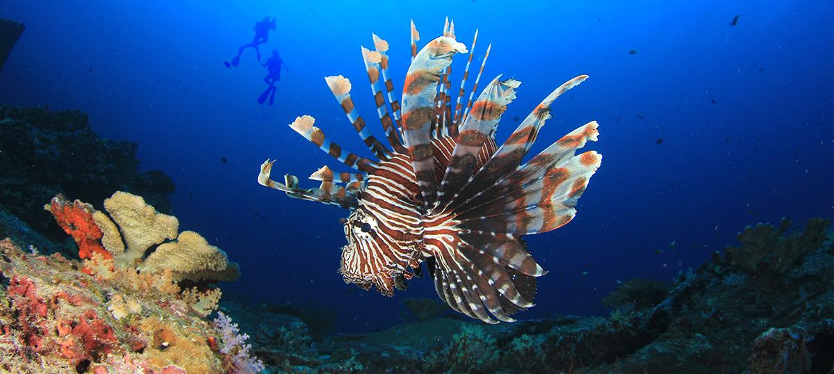 와카토비 섬의 잊을 수 없는 4가지 경험