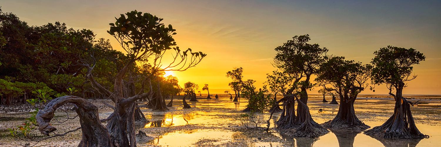 10 Tropische Paradiese auf Sumba für Ihren Sommer voller Magie