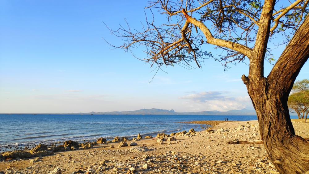 Menjelajah Pantai Manikin: Keindahan Tersembunyi NTT