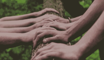 Partnership Opportunity